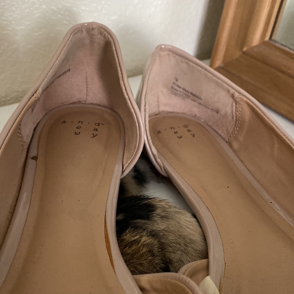 Nude flats - Picture 7 of 7